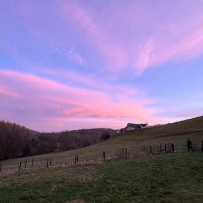 IMG0290